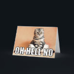 Aangepaste foto Oh Hell No Meme Funny Birthday Kaa Kaart<br><div class="desc">Upload je eigen foto naar creëer met een leuke kaart voor verjaardagen of elke gelegenheid met een meme-stijl. Op de voorkant van de kaart staat je foto met de memen stijl tekst OH HELL NO gelegd over de bovenkant. De inside message is klaar voor uw custom touch, zodat u voor...</div>