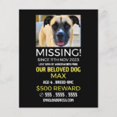 Aangepaste foto, ontbrekende foto, verloren pakket flyer (Achterkant)