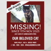 Aangepaste foto, ontbrekende foto, verloren pakket flyer (Voorkant)