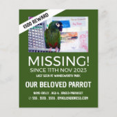 Aangepaste foto, ontbrekende foto, verloren pakket flyer (Achterkant)