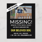 Aangepaste foto, ontbrekende foto, verloren pakket flyer (Achterkant)