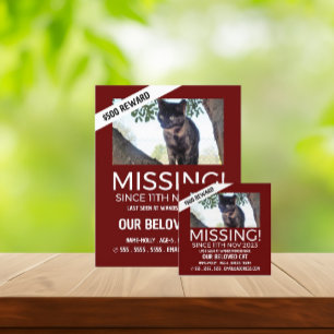 Aangepaste foto, ontbrekende foto, verloren pakket flyer