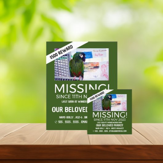 Aangepaste foto, ontbrekende foto, verloren pakket flyer