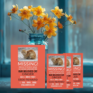Aangepaste foto, ontbrekende foto, verloren pakket flyer