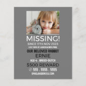 Aangepaste foto, ontbrekende foto, verloren pakket flyer (Achterkant)