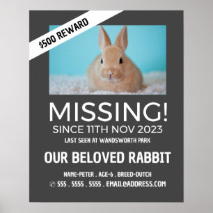 Aangepaste foto, ontbrekende foto, verloren pakket poster