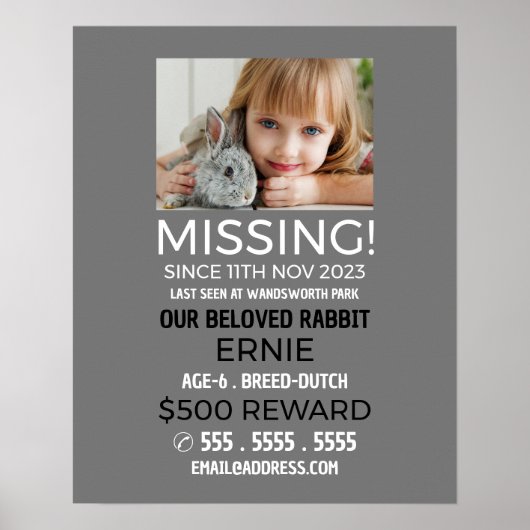 Aangepaste foto, ontbrekende foto, verloren pakket poster (Voorkant)