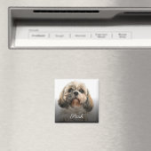 Aangepaste foto op aangepast pakket magneet (Insitu (Vaatwasser))