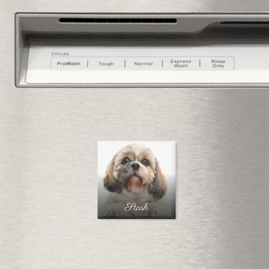 Aangepaste foto op aangepast pakket magneet (Insitu (Vaatwasser))