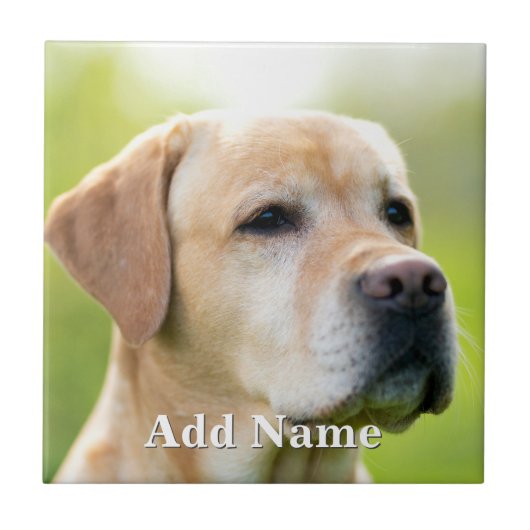 Aangepaste foto Optionele tekst Gepersonaliseerd Tegeltje (Voorkant)