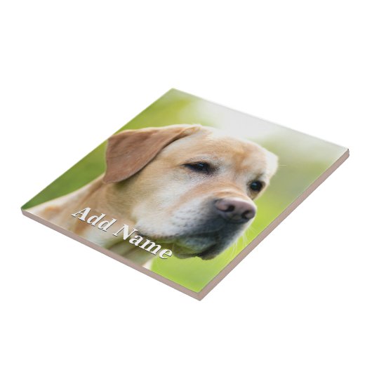 Aangepaste foto Optionele tekst Gepersonaliseerd Tegeltje (Zijkant)