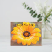 Aangepaste foto Oranje lente Flash Daisy Close-up  Briefkaart (Staand voorkant)