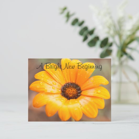 Aangepaste foto Oranje lente Flash Daisy Close-up  Briefkaart (Staand voorkant)