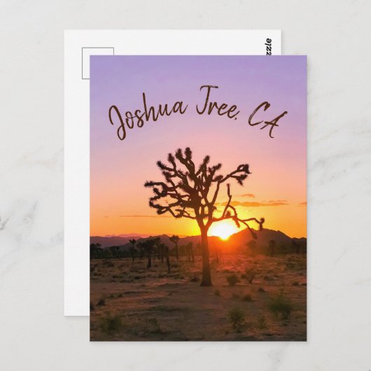 Aangepaste foto Paars Oranje Joshua Tree Sunset Briefkaart (Voorkant / Achterkant)