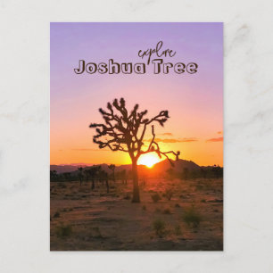 Aangepaste foto Paarse Oranje Sunset Joshua Tree Briefkaart