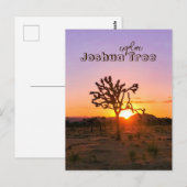 Aangepaste foto Paarse Oranje Sunset Joshua Tree Briefkaart (Voorkant / Achterkant)