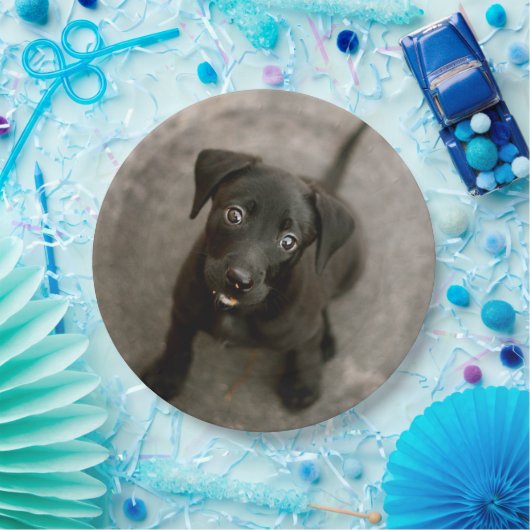 Aangepaste foto papieren bordje (Feest)