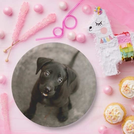 Aangepaste foto papieren bordje (Feest)