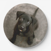 Aangepaste foto papieren bordje (Voorkant)