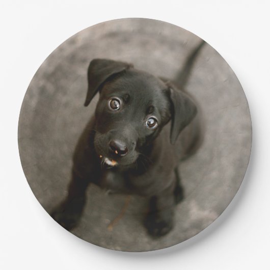 Aangepaste foto papieren bordje (Voorkant)