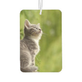 Aangepaste foto persoonlijke foto luchtverfrisser (Achterkant)