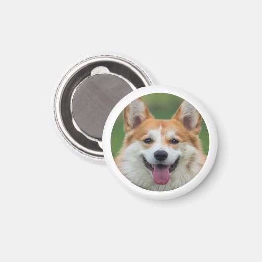 Aangepaste foto Pet Aangepast Magneet (Voorkant / Achterkant)