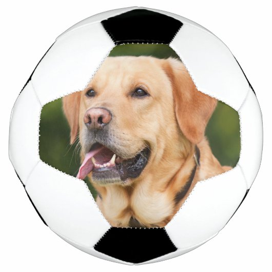 Aangepaste foto Pet Aangepast Voetbal (Voorkant)