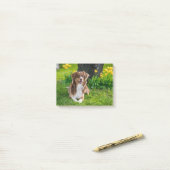 Aangepaste foto Pet Dog Aangepast Post-it® Notes (Op bureau)