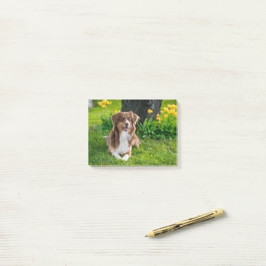 Aangepaste foto Pet Dog Aangepast Post-it® Notes (Op bureau)