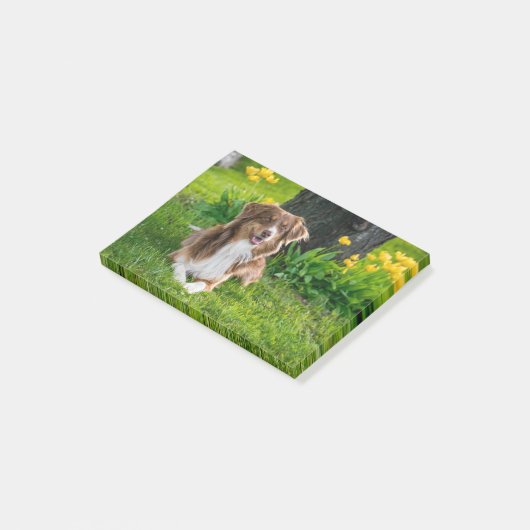 Aangepaste foto Pet Dog Aangepast Post-it® Notes (Schuin)
