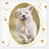 Aangepaste foto Pet Dog Birthday Gold Glitter Star Vierkante Sticker (Voorkant)