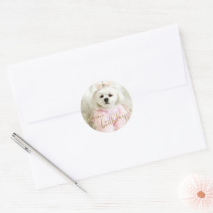 Aangepaste foto Pet Dog Birthday Typografie Gold Ronde Sticker