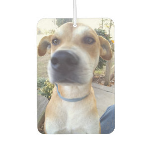 Aangepaste foto Pet Dog Luchtverfrisser