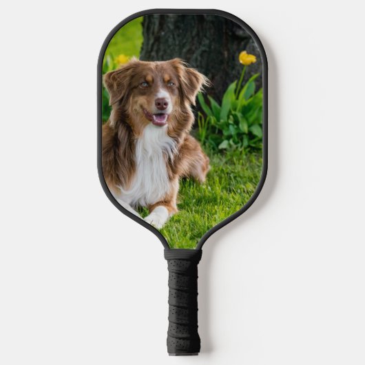 Aangepaste foto Pet Dog Pickleball Paddle (Voorkant)