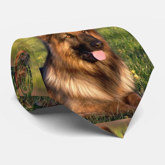 Aangepaste foto Pet Dog Stropdas (Opgerold)