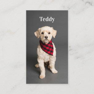 Aangepaste foto Pet Puppy Dog Social Media QR Code Visitekaartje