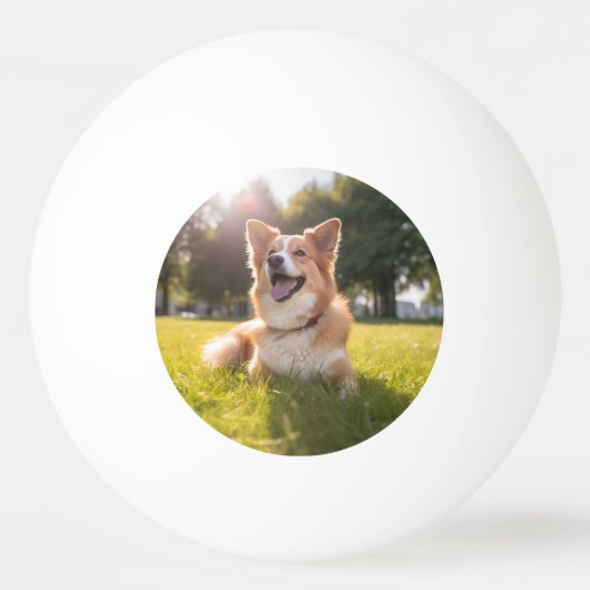 Aangepaste foto pingpongbal (Achterkant)