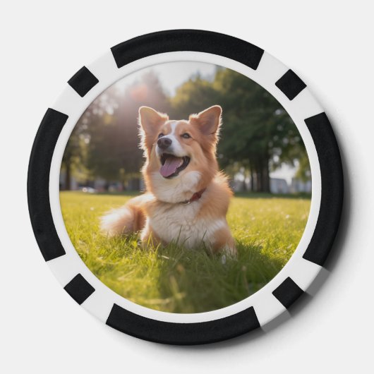 Aangepaste foto poker chips (Achterkant)