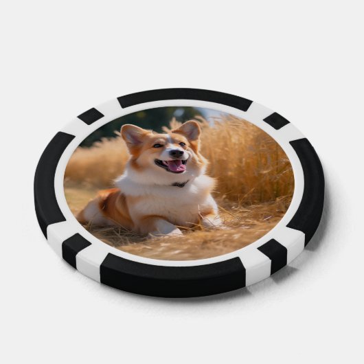 Aangepaste foto poker chips (Enkel)