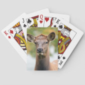 Aangepaste foto pokerkaarten (Achterkant)