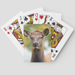 Aangepaste foto pokerkaarten