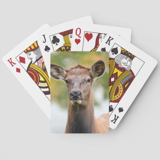 Aangepaste foto pokerkaarten (Achterkant)