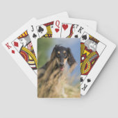 Aangepaste foto pokerkaarten (Achterkant)