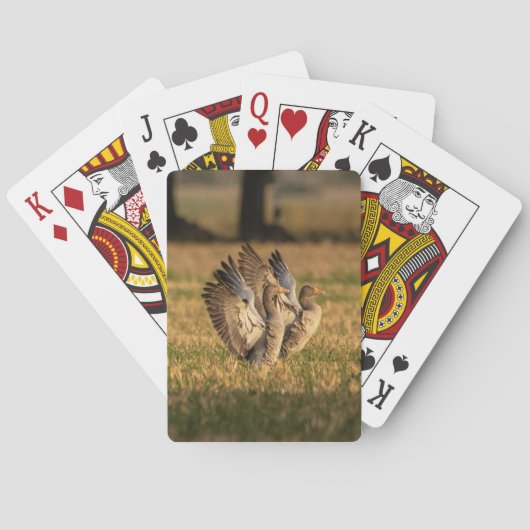 Aangepaste foto pokerkaarten (Achterkant)