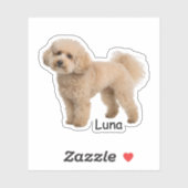Aangepaste foto Poodle puppy Sticker (Vel)