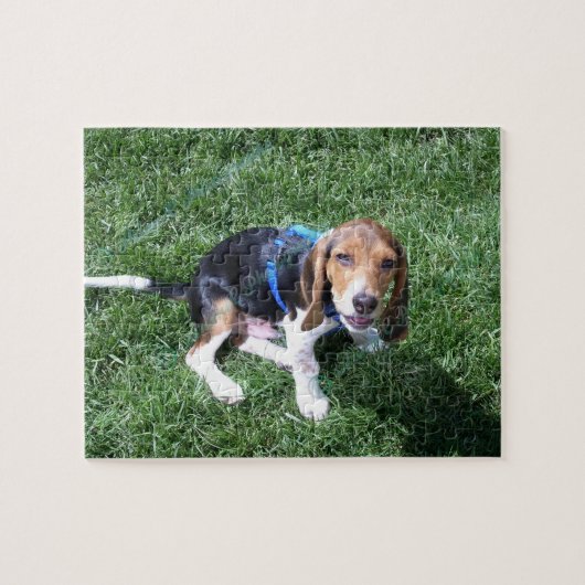 Aangepaste foto-puzzel voor honden legpuzzel (Horizontaal)