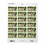 Aangepaste foto Return Address Label Modern (Full Sheet)