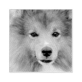 Aangepaste foto rubberstempel (Afrduk)