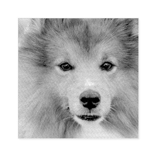 Aangepaste foto rubberstempel (Afrduk)