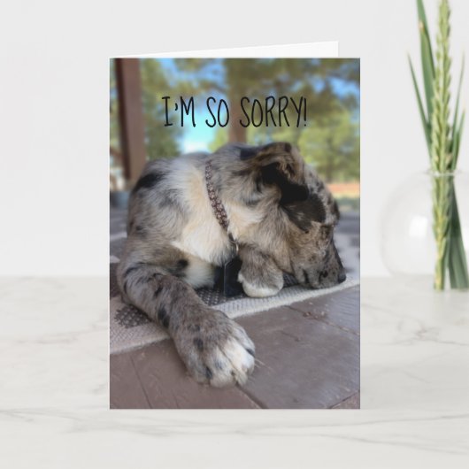 Aangepaste foto Rundle Rundle Dog Belated Sjabloon (Voorkant)